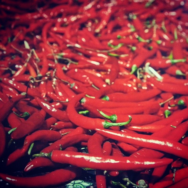 Instagram/@kirbear84