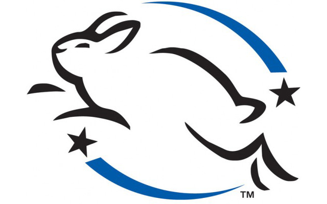 Product Testing: Find Out Which Face Oils Can Work You