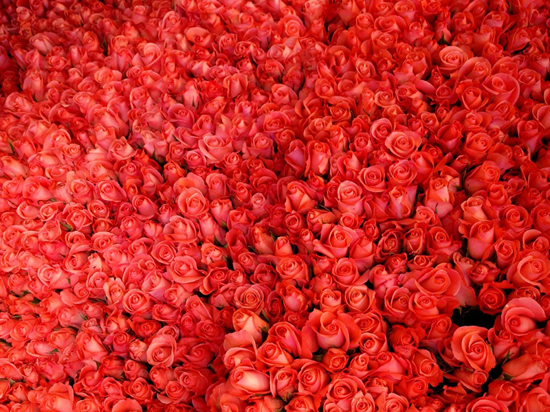 6 Skincare Products to Splurge On