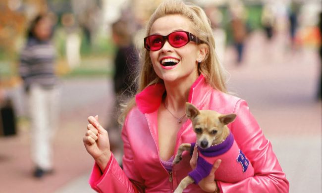 elle woods dog