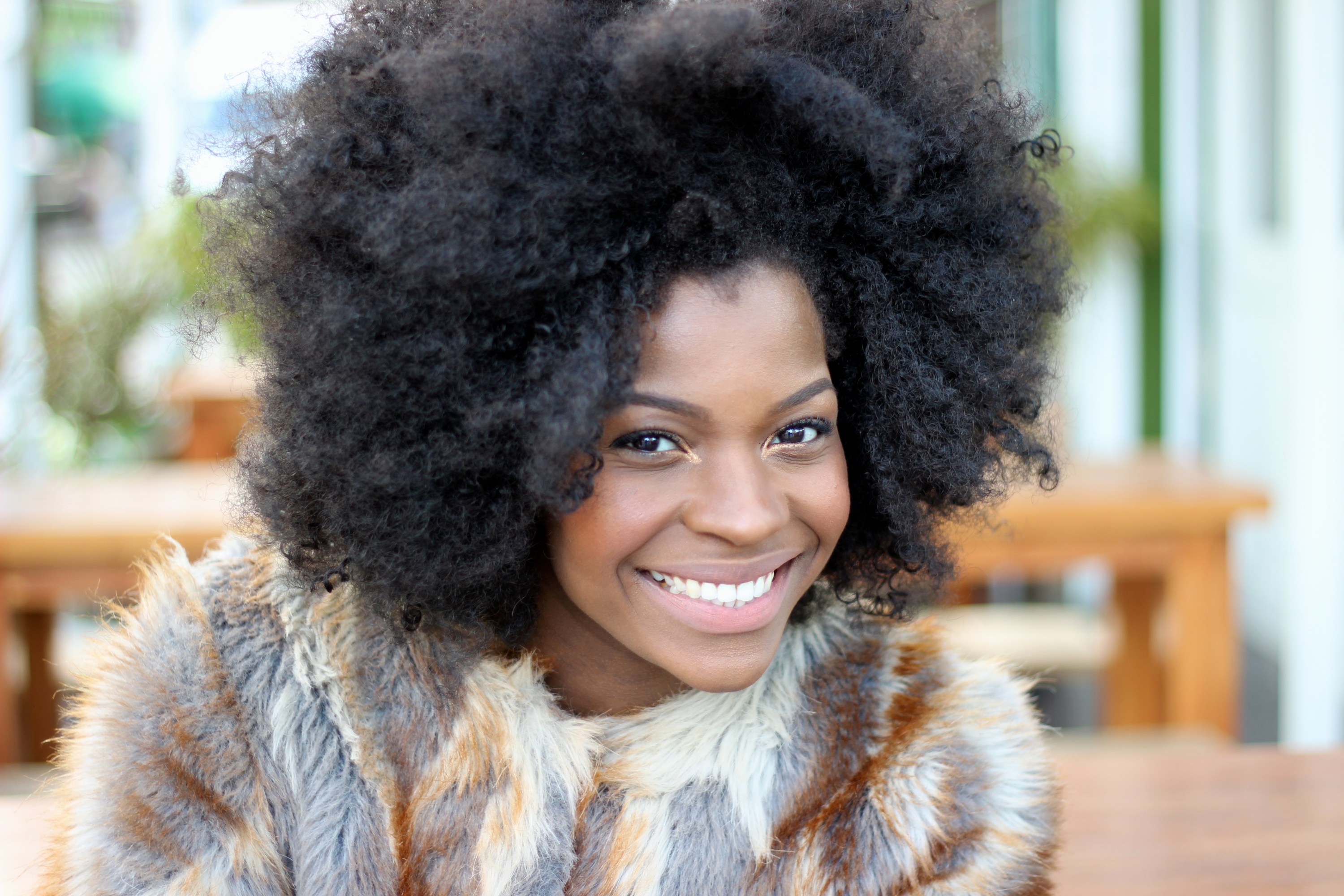 freddie harrel