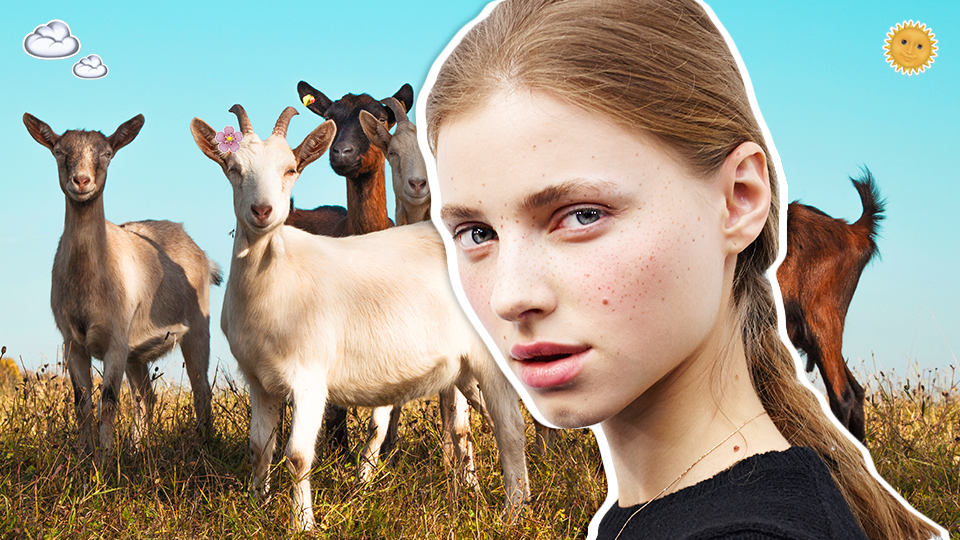 Getty Images/ImaxTree/STYLECASTER