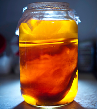 Best Probiotics For Women 2023: Yeast Infection & UTI's