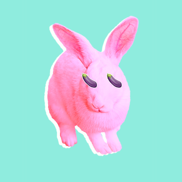 Pink Rabbit
