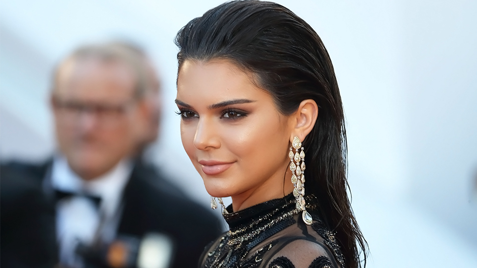 Kendall Jenner Unrecognizable with Platinum Hair