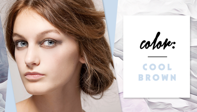 STYLECASTER | Simple Hair Color Chart for Every Shade | Cool Brown