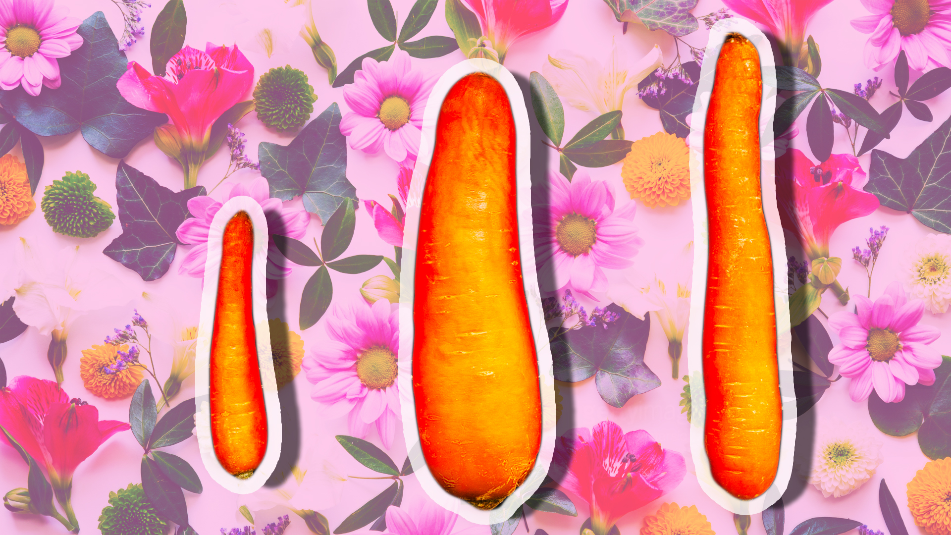 STYLECASTER | How to Make Sex Work With a Penis of Any Size