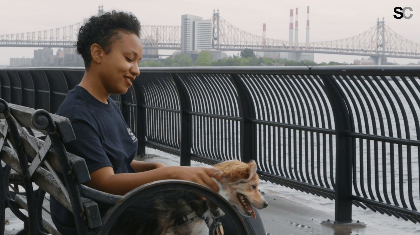 Summer BBQ Sides That Go Way Beyond Pasta Salad