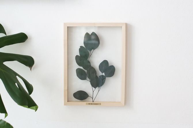STYLECASTER | framed plants