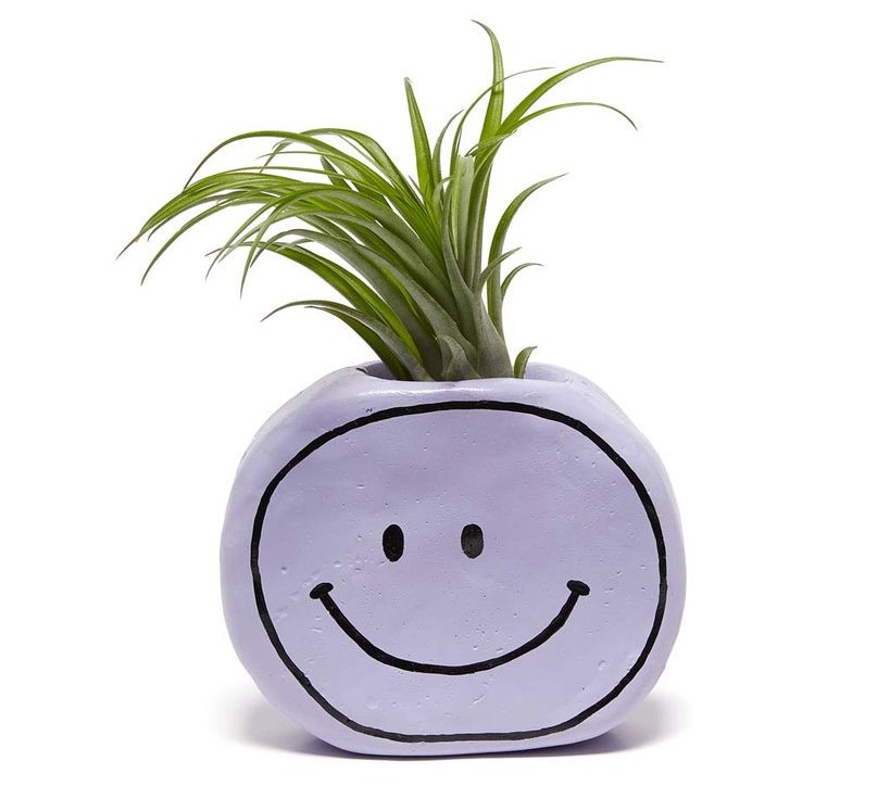 STYLECASTER | Cute Planters