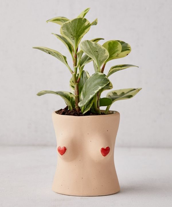STYLECASTER | Cute Planters