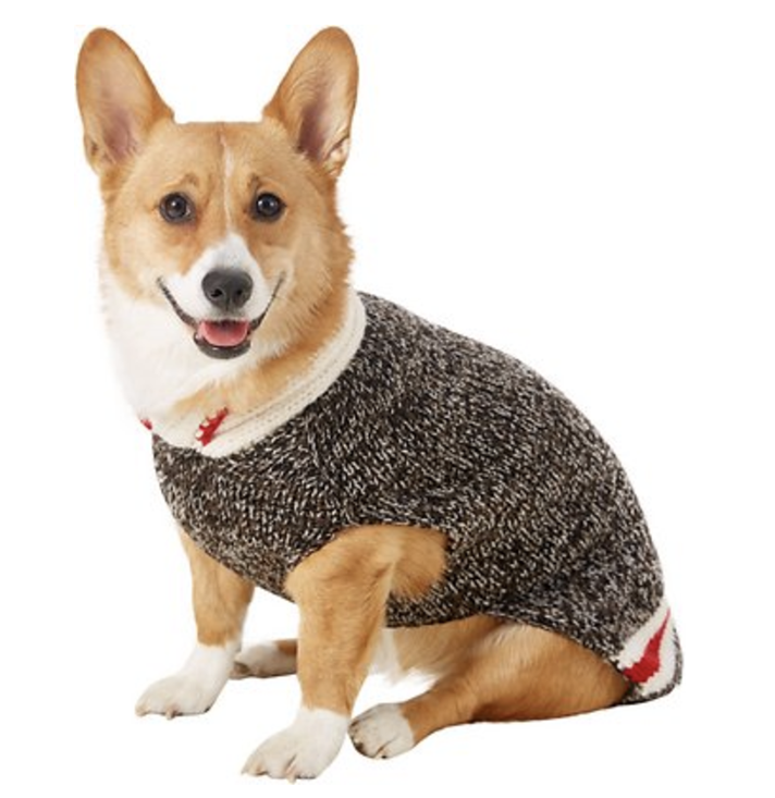 STYLECASTER | 17 Stocking Stuffers for Pets 