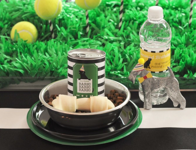 Dog-friendly snacks and party decor