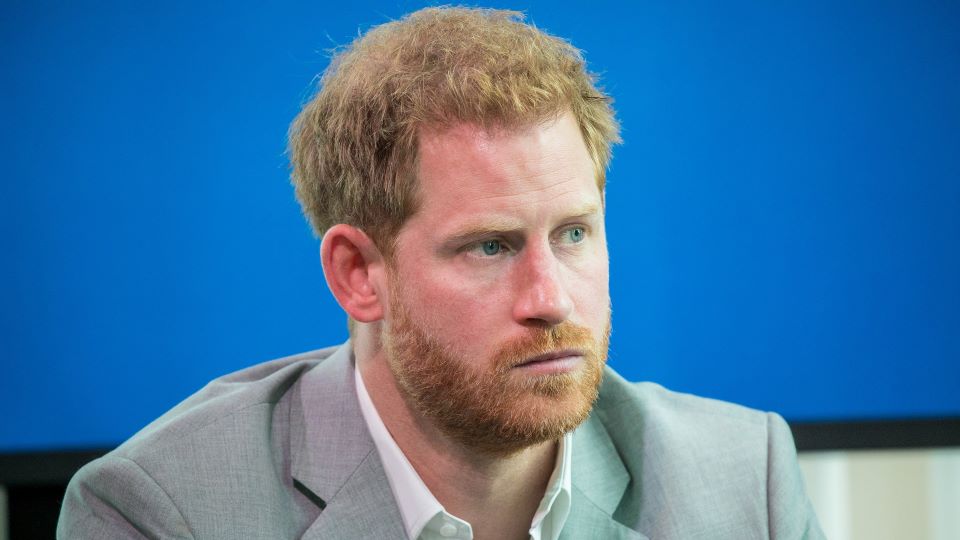 prince-harry-shade-palace-election-video