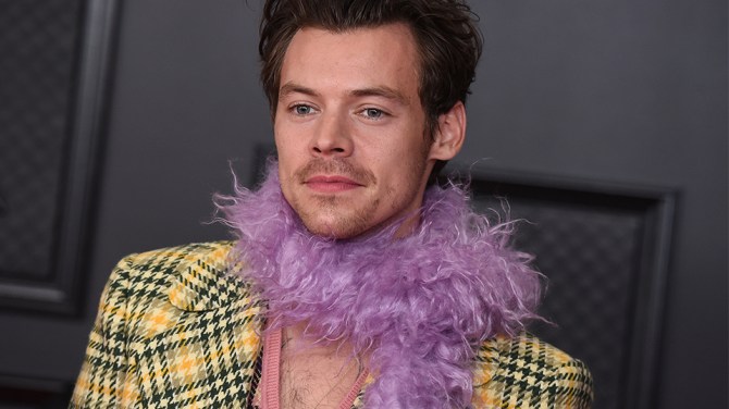 STYLECASTER | Harry Styles Feather Boa