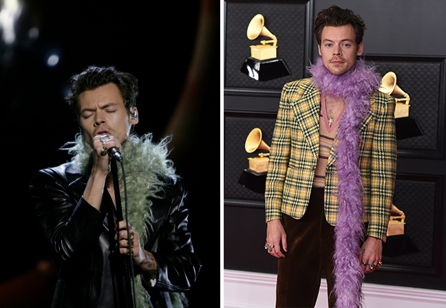 STYLECASTER | Harry Styles Feather Boa