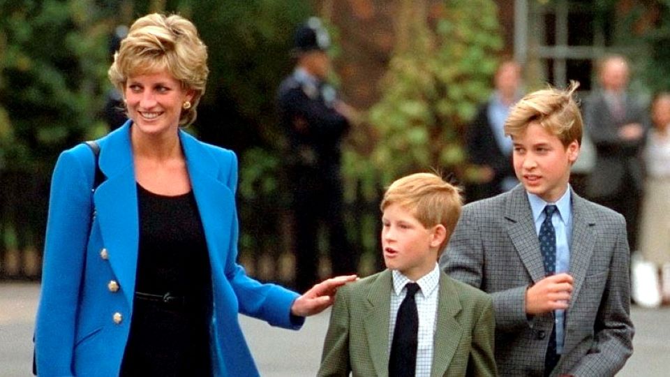 princess-diana-prince-harry-prince-william
