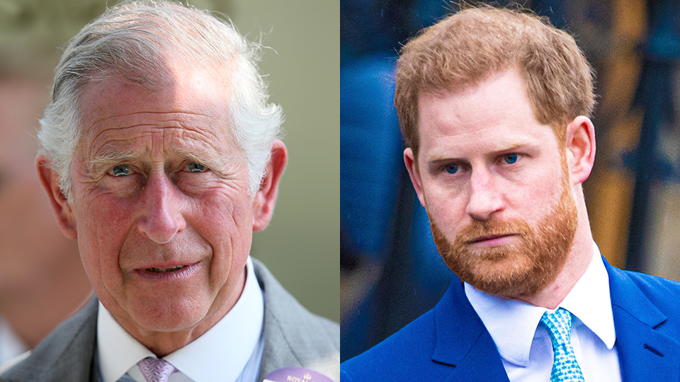 Prince Charles, Prince Harry