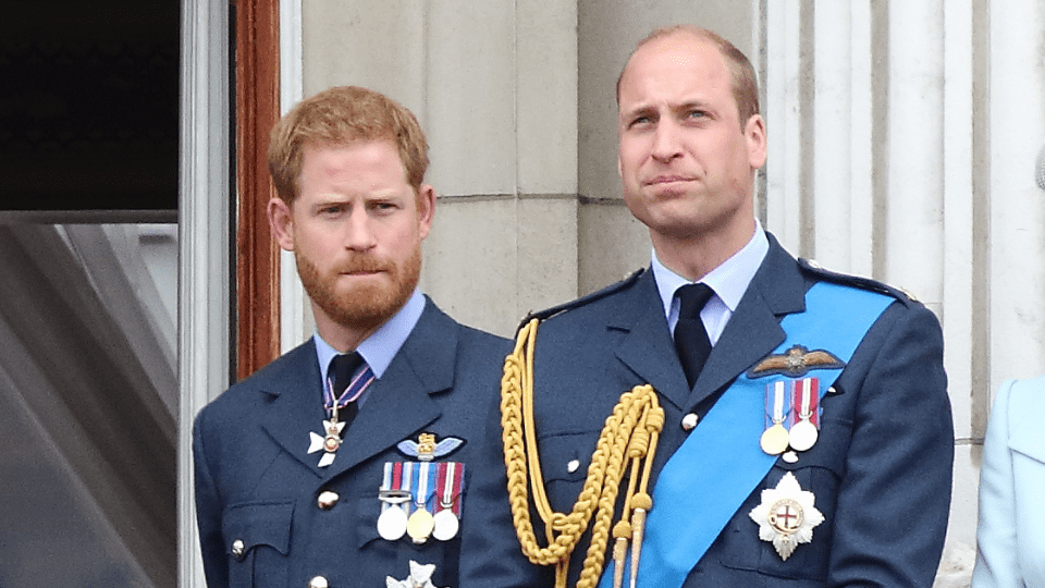 prince-harry-prince-william