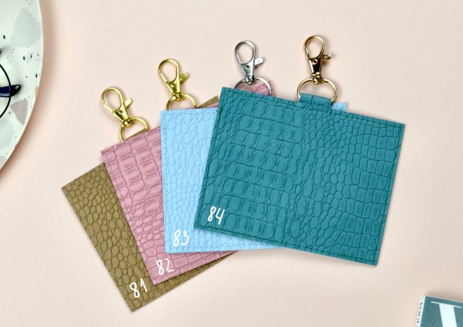 vaccine-card-holder-4