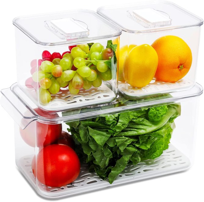 Refsaver Produce Saver Containers