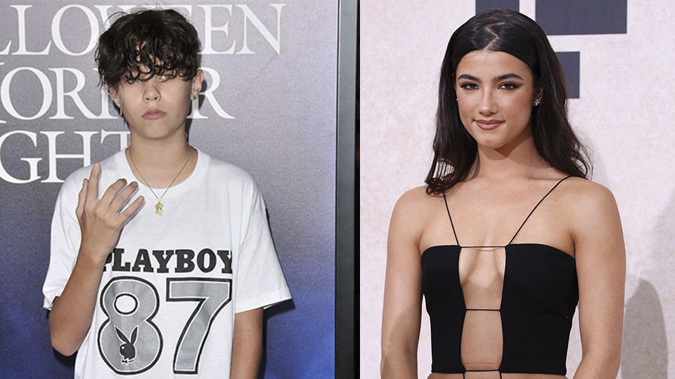 charli d'amelio landon barker