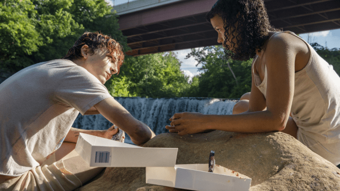Bones and All, timothee chalamet