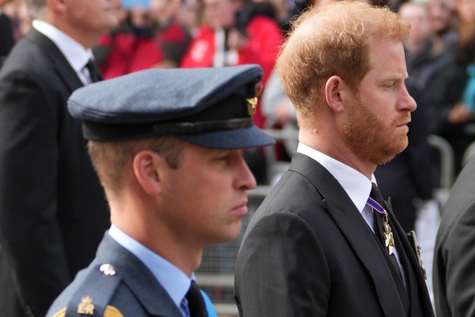 Prince Harry, Prince William