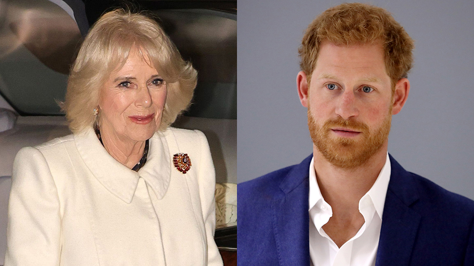 Queen Consort Camilla, Prince Harry