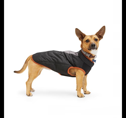 Reddy Black Primaloft Dog Jacket Petco