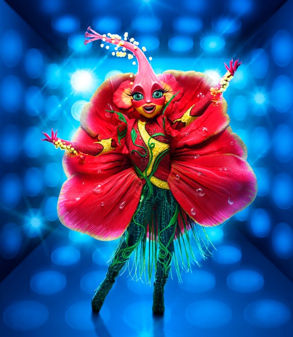 Who's Hibiscus on The Masked Singer?