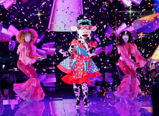 The Masked Singer finalists