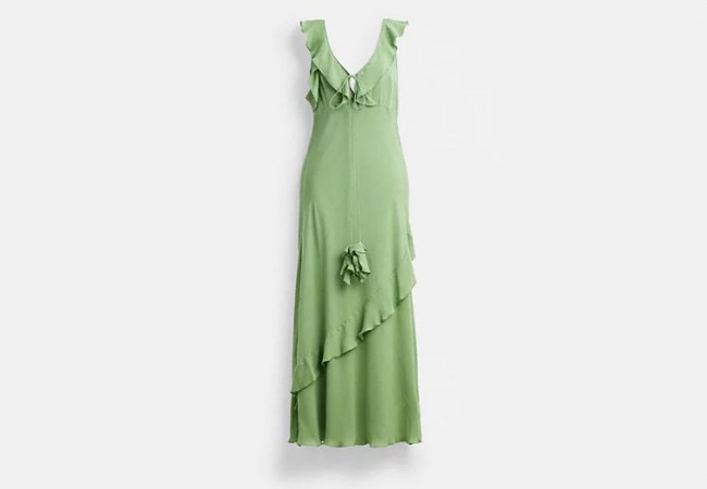 Coach V-Neck Bias Dress
