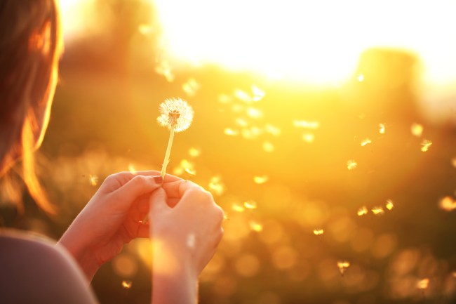 Woman blowing on a dandelion