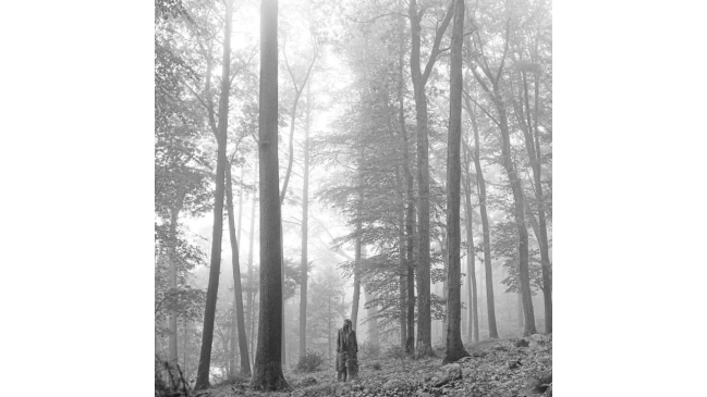 folklore (2023) album cover