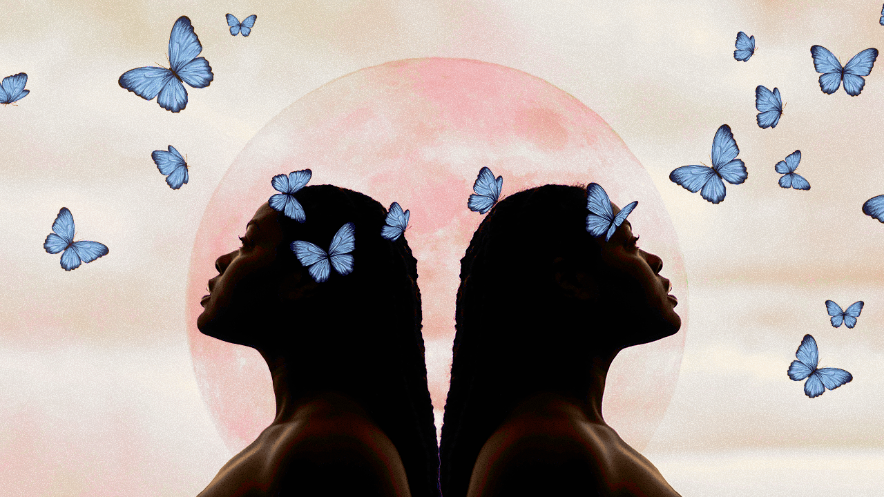 A pair of twins gazing up at a flurry of butterflies, thinking about how tje full moon in Gemini 2024 will affect their zodiac signs