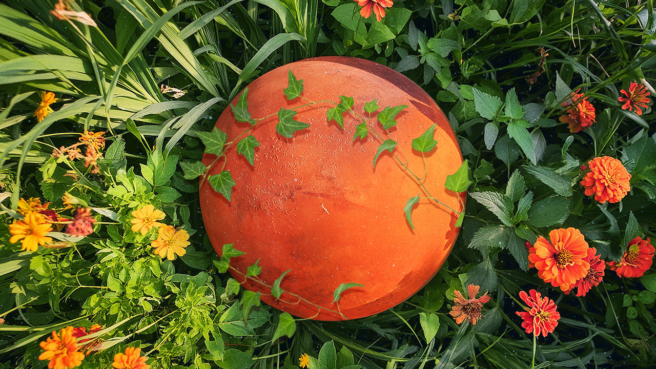 Planet Mars as it moves through Taurus, surrounded by green plants, orange flowers, and vines.