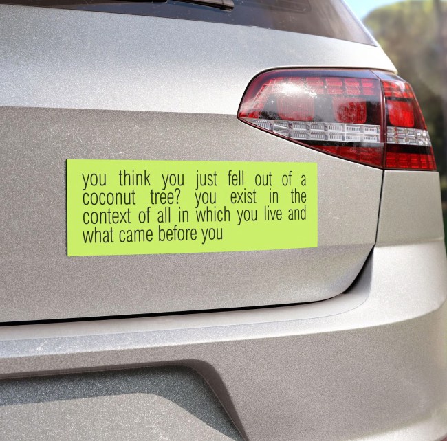You Think You Just Fell Out of A Coconut Tree? Bumper Sticker