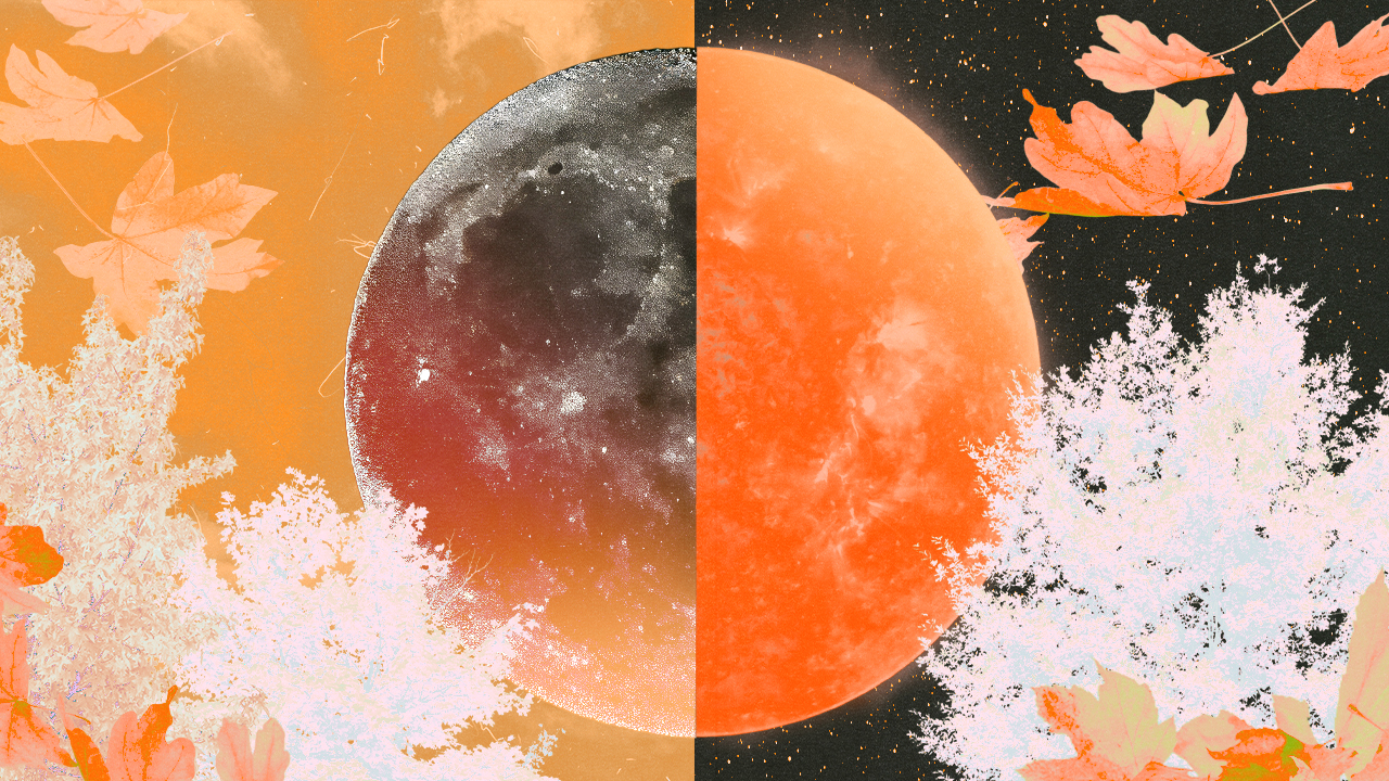 An orange full moon during the fall season cut in half, with one side at night and one side during the day, in representation of the equinox