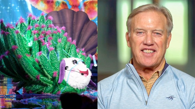 Leaf Sheep, The Masked Singer, John Elway