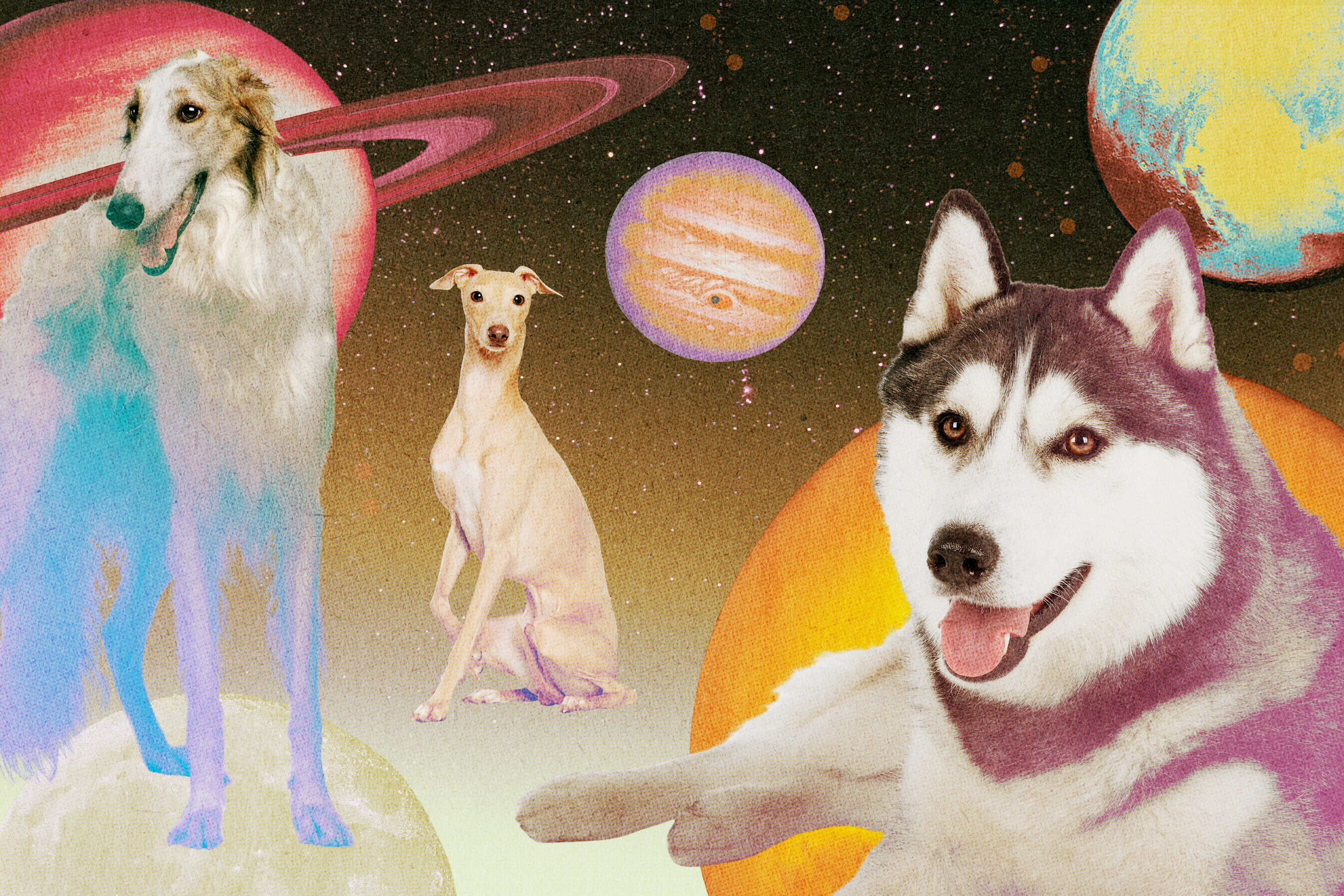 Various dogs in front of planets in outer space with neon prismatic colors